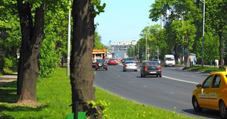 Посадка деревьев и кустарников в Махачкале — стоимость от 1243 руб.